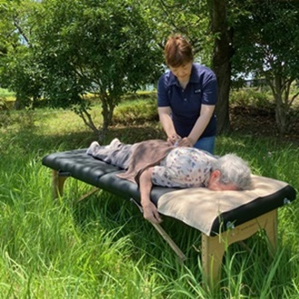 千葉県CS60市原細喜道癒しと改善