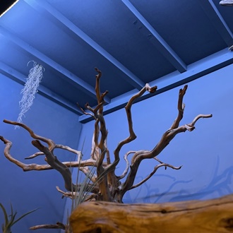 千葉県CS60市原細喜道CS60癒しと改善の空間