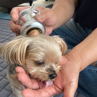 千葉県CS60市原細喜道癒しと改善ペットにも