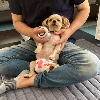 千葉県CS60市原細喜道癒しと改善