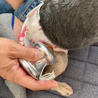 千葉県CS60市原細喜道癒しと改善