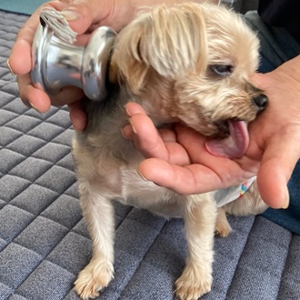 千葉県CS60市原細喜道癒しと改善キッズにも