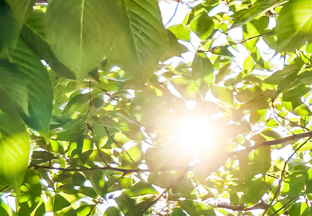 千葉県cs60市原細喜道癒しと改善の施術